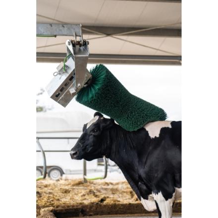 Brosse rotative verticale pour le nettoyage, le soin de la peau et le pelage de la vache - AGRICOW_7