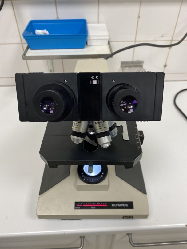 Microscope de laboratoire d'occasion bh-2 olympus - p2212-1959_7