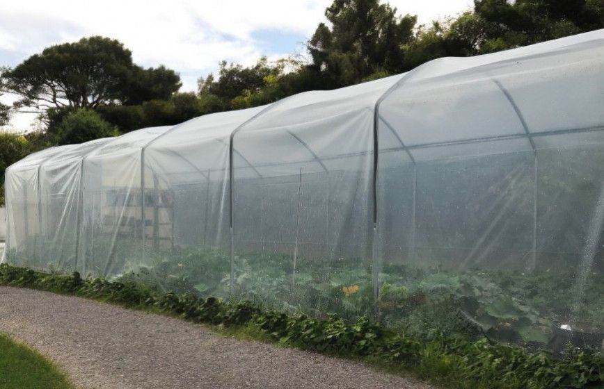 Serre de jardin tunnel simple et fonctionnelle  - ABRI CULTURES_7