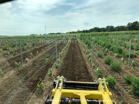 Déchaumeur à disques indépendants pour la vigne, les vergers et le maraîchage - Agroland WINEDISC_7