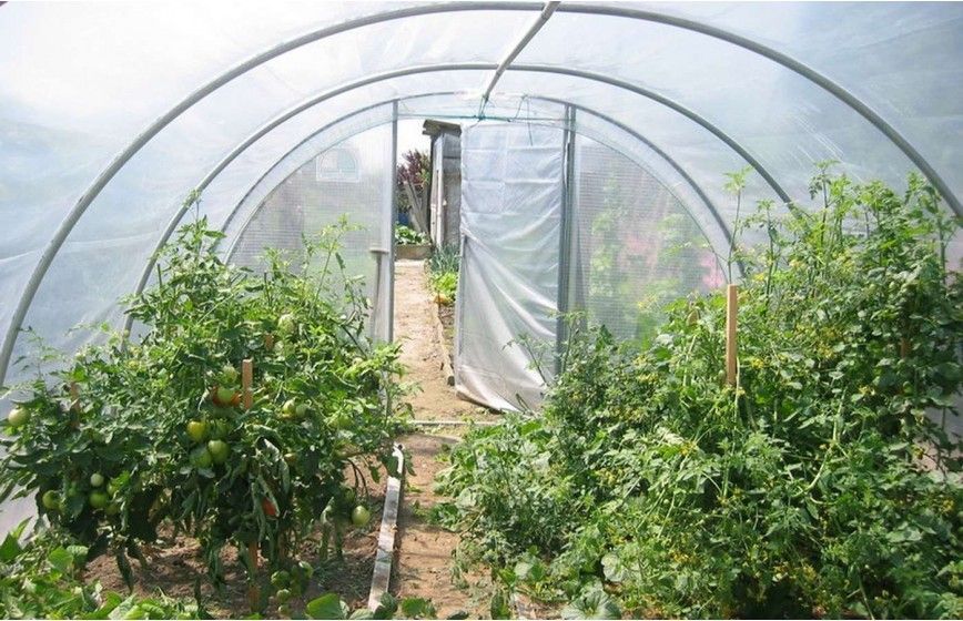 Serre tunnel mixte intelligent - 3 à 12 mètres de long - OPTIMUM_7