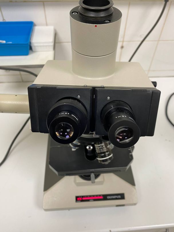 Microscope de laboratoire d'occasion BH-2 Olympus - Référence P2212-1958, avec 4 lentilles incluses_7