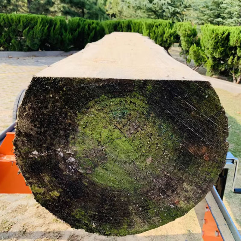 Scierie Mobile Thermique 27CV pour bois jusqu'à 910mm de diamètre - CUTCRAFT RS360G_7