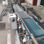 Module de pesage pour le contrôle et la mesure dynamique du poids au niveau de convoyeur - cms_7