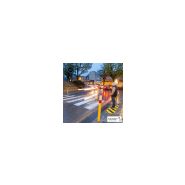 6200055 - passage piéton lumineux - novap - dimension: 458 x 420 x 7,5 mm_7