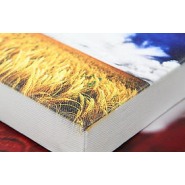 Imprimante UV à plat pour l'impression des images en quadrichomie sur tous supports - ROLAND VersaOBJECT MO-240_7