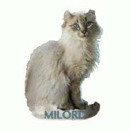 Magnet miniature sur mesure - MDF, impression quadrichromie et finitions or/argent - Fabriqué en France_7