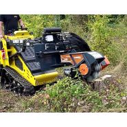 Mini-chargeuse RANGER 300T adaptée aux travaux intensifs