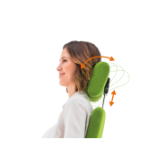 Chaise avec accoudoirs réglables et support lombaire ajustable