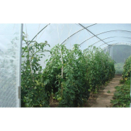 Serre de jardin avec aérations latérales et pieds droits de  0,50 m de haut - GOTHIQUE_7