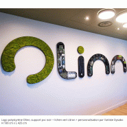 Logo ou Lettres Végétales - Lettres, Lichen scandinave pour l'intérieur uniquement, 19 mm, Noir_7