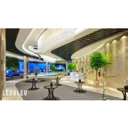 Ecran géant TV SPORT intérieur pour restaurant brasserie foodcourt hôtel_7