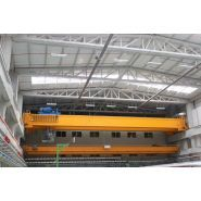 Grues avec ponts roulants double et unique poutres avec une capacité de charge de 1 à 63 tonnes - BVS_7