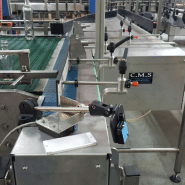 Convoyeur d'accumulation et aligneur en inox, 30000 bouteilles par heure, pour l'agroalimentaire, le pharmaceutique et la cosmétique - cms_7