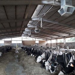 Rafraîchisseur d'air par évaporation - Master BCM 191-311-511 - Haut rendement pour grandes installations