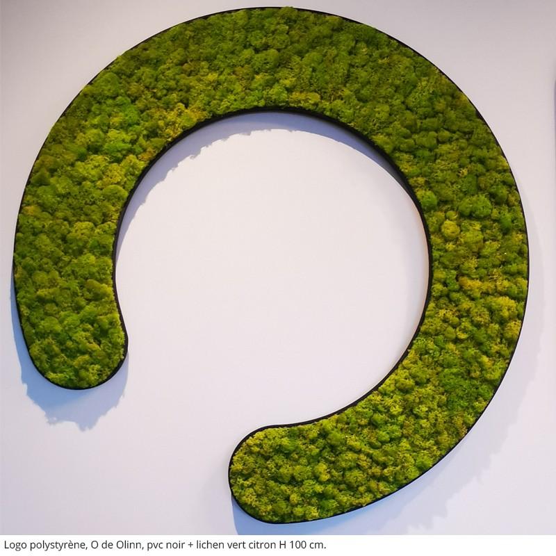 Logo ou Lettres Végétales - Vert Citron, Lettres, Lichen scandinave pour l'intérieur uniquement, 10 mm_8