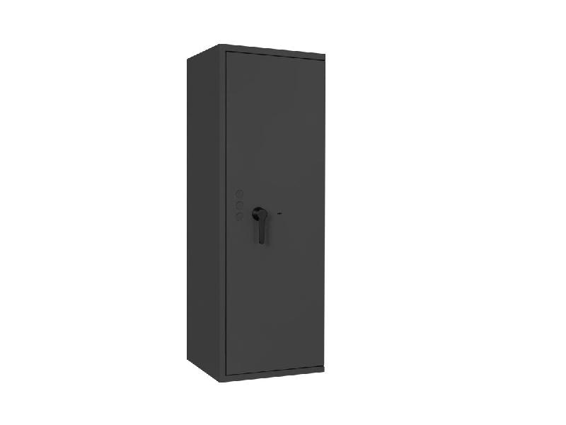 Armoire à armes FORMAT CAPRIOLO I Classe 0 - Armoire à fusils (EN 1143-1) - Serrure à clé (standard) / Graphite RAL 7024_8