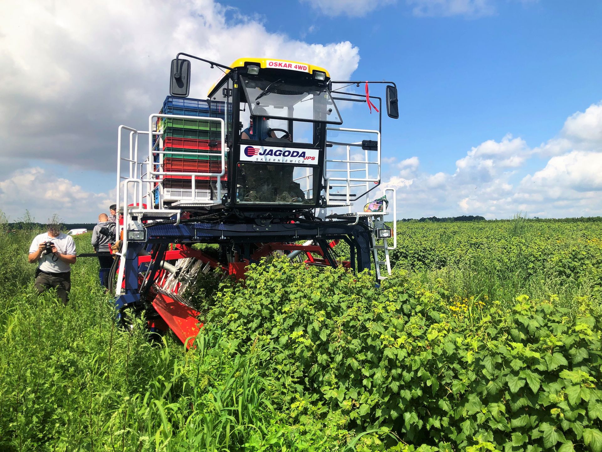 Récolteuse automotrice de baies OSKAR 4WD - Jagoda JPS - Productivité 0,5 ha/h - Précision jusqu'à 98% - Moteur Doosan 74 CV_8