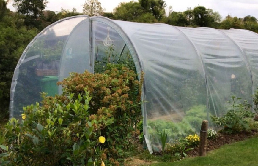 Serre de jardin simple, fonctionnelle et pratique pour tous les jardins en gardant une hauteur conséquente- ESSENTIELLE_8