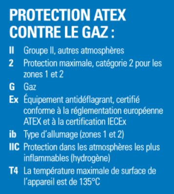 Portatif radio DMR Motorola ATEX DP4401EX / DP4801EX - IP67, GPS, 1000 canaux, certifications ATEX/IECEx_8