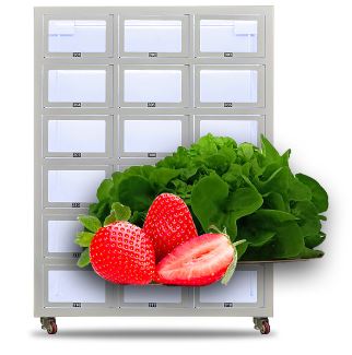 Distributeur Automatique à Casiers Secs sur mesure - Stockage Organisé - SASU LDA_8