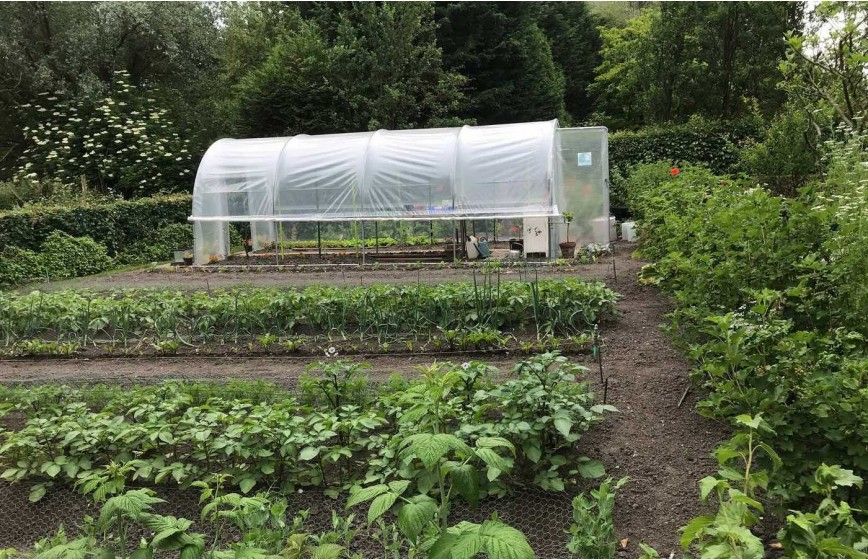 Serre de jardin petite, fonctionnelle, robuste pour les fleurs, les arbustes et le potager familial - 4 à 8 m de long - JARDINIERE_9