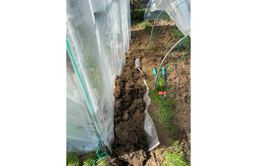 Serre de jardin modulable, idéale pour les semis de printemps - 2m00 x 2m70 - PRIMEUR_8