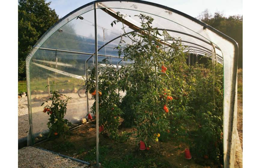 Serre à tomates avec une ventilation optimale et permanente idéale pour la protection des cultures contre les intempéries - 3 à 12 m de long_8