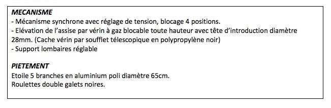Fauteuil Président cuir avec renfort lombaire RIXON - cuir noir_8