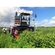 Récolteuse automotrice de baies OSKAR 4WD - Jagoda JPS - Productivité 0,5 ha/h - Précision jusqu'à 98% - Moteur Doosan 74 CV_8