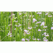 Filet à ramer/tuteurer - 1.70m, 1000m_8