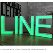 Lettres et/ou logo en polystyrène lumineuses_8