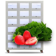 Distributeur Automatique à Casiers Secs sur mesure - Stockage Organisé - SASU LDA_8