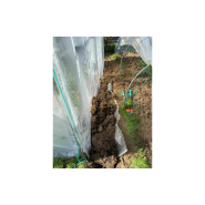 Serre de jardin modulable, idéale pour les semis de printemps - 2m00 x 2m70 - PRIMEUR_8