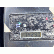 Sany SY16C Mini-pelle sur chenilles 1,8T_8