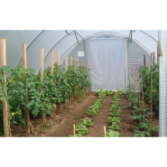 Serre de jardin avec aérations latérales et pieds droits de  0,50 m de haut - GOTHIQUE_8