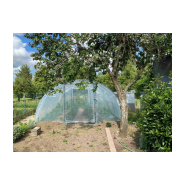 Serre pour légumes à deux portes pivotantes pour une aération naturelle et une accessibilité optimale - Largeur 6m - ABRI LEGUMES_8