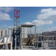 Monte-matériaux avec personnel accompagnant pour plaques de plâtre  - PT 1000_8