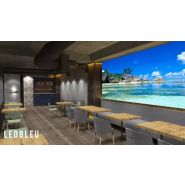 Ecran géant TV SPORT intérieur pour restaurant brasserie foodcourt hôtel_8