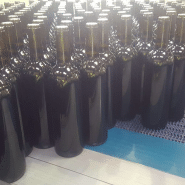 Convoyeur d'accumulation et aligneur en inox, 30000 bouteilles par heure, pour l'agroalimentaire, le pharmaceutique et la cosmétique - cms_8